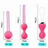 Bolas vaginales Kit Kegel