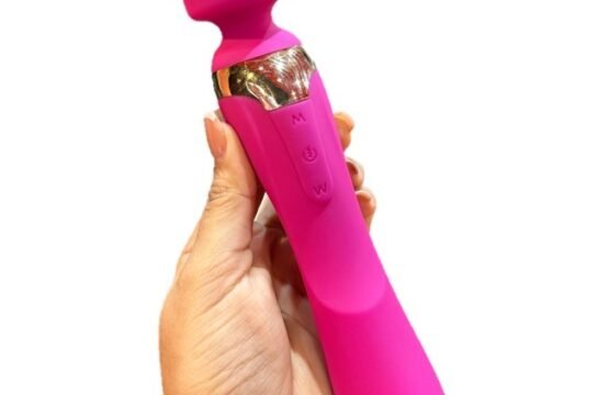 Hitachi Doble Beja