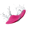 Panty Tinker
