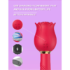 Vibrador Rosa Anturio