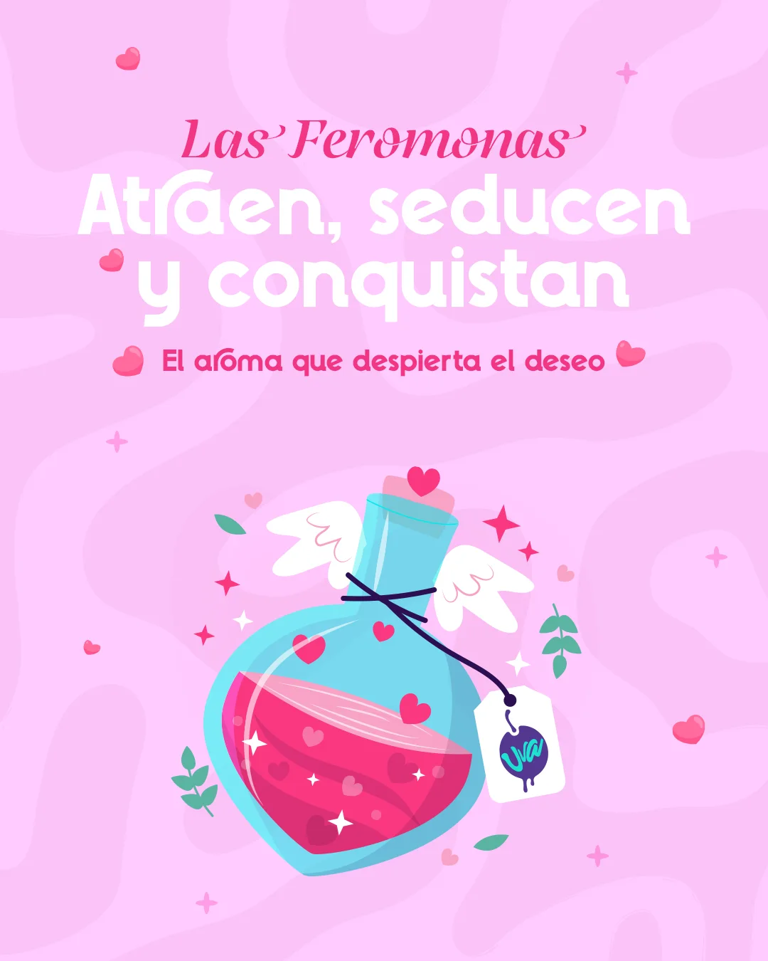 SexShop en Cali Cali, Jamundí