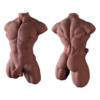 Torso Musculoso