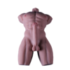 Torso Musculoso