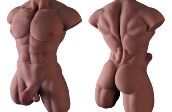 Torso Musculoso