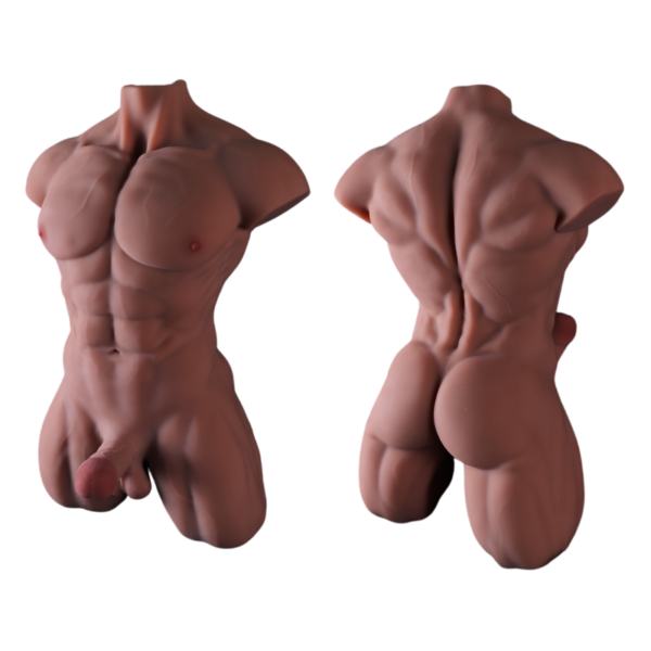 Torso Musculoso