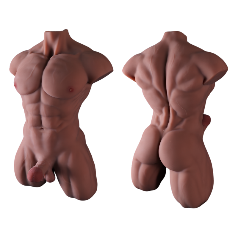 torso musculoso Torso Musculoso